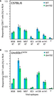 Direct antigen presentation is the canonical pathway of cytomegalovirus CD8 T-cell priming regulated by balanced immune evasion ensuring a strong antiviral response